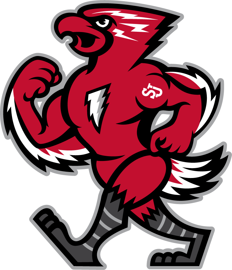 St. John's Red Storm 2015-Pres Mascot Logo iron on transfers for T-shirts